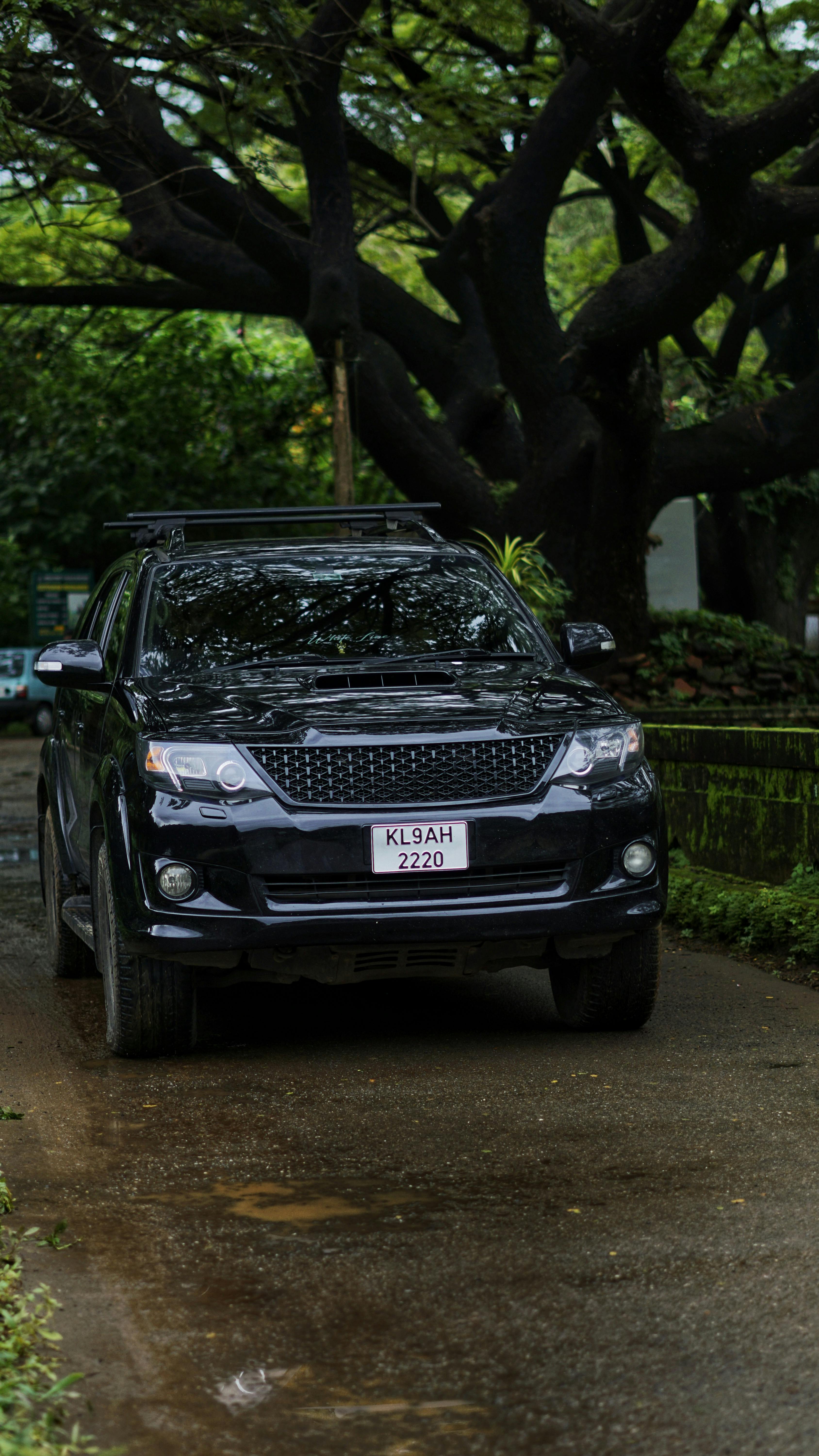 ביטוח חובה לרכב: המדריך המקיף שיבטיח נסיעה בטוחה ושקטה – חדשות החסכון