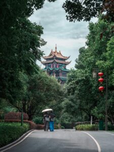 הפנסיה שלכם בסכנה? כך תגלו אם אתם מפסידים כסף בכל חודש